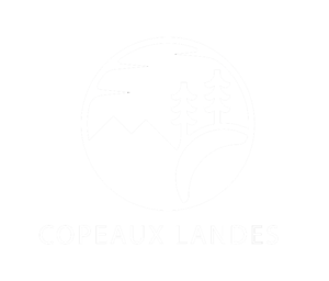 copeaux-landes-logo